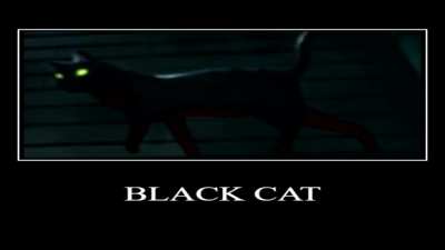 cat lives matter... unless...