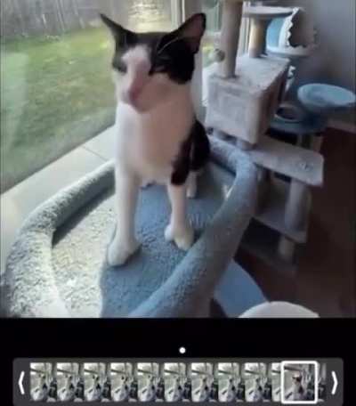 HOLYFUFUFUFUFUF