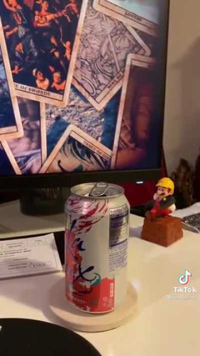 Pet Bird Playing Around