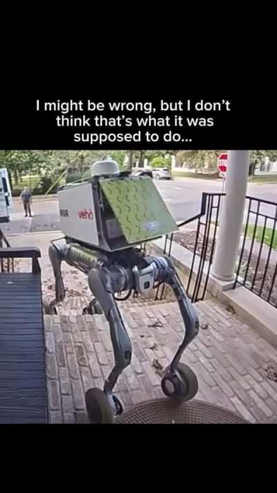 This delivery robot