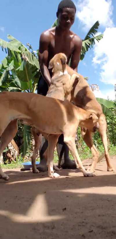 Friends am sorry that l might not have been doing it perfect but these are the best friends and family l have would you spare something for food to them please