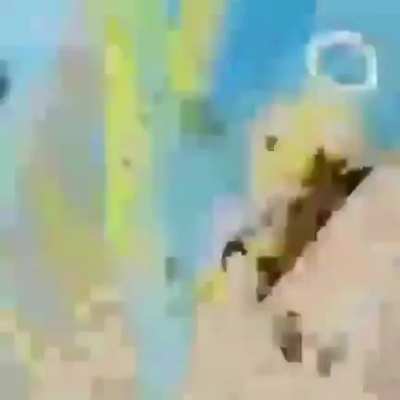 narutooooo