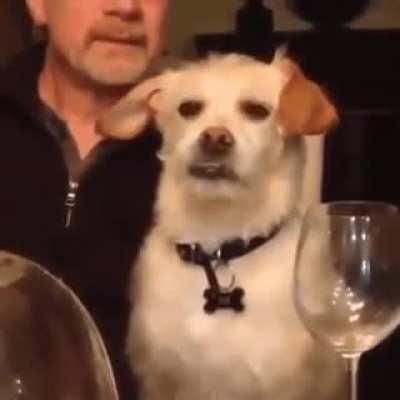 &ldquo;Oh god, Dave's telling this story again.&rdquo;