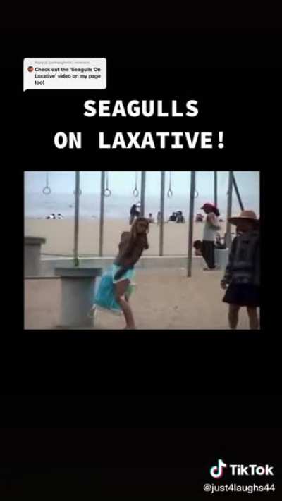Stupid kids “prank” could have gotten people sick. And ruined park.
