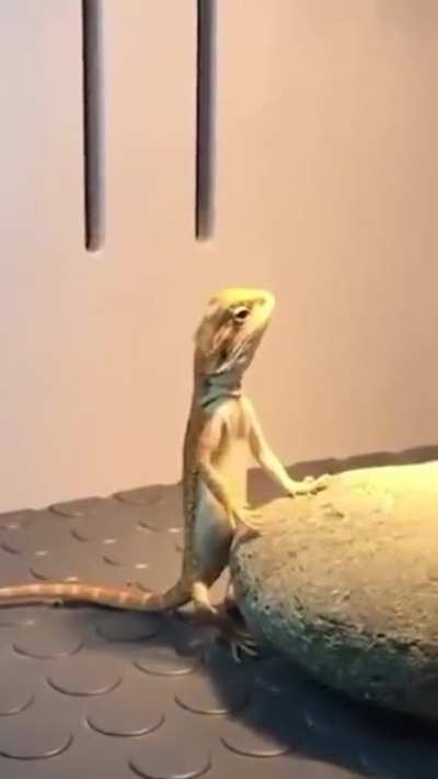 When she say "slap my ass" but your mom raised a gentleman.