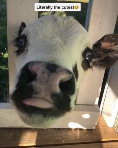 Hi there! 😘