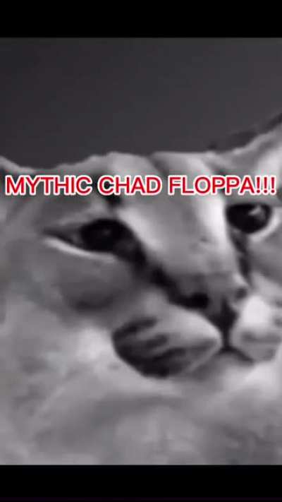 Floppa eggg
