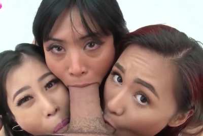 Trifecta