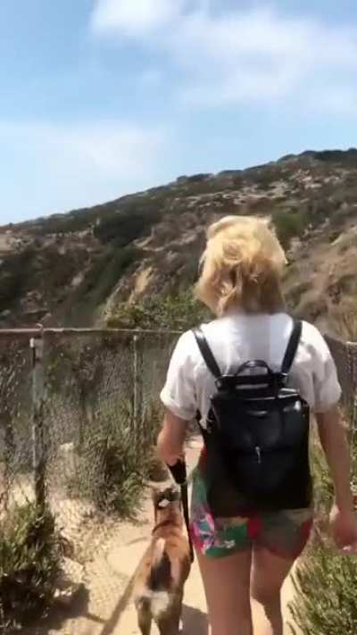 Hiking with Jango