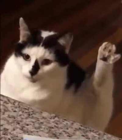 Хоба!