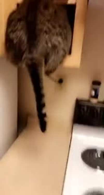 Mistakes were made
