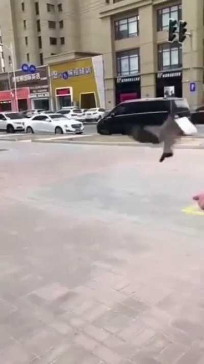 Stop. Thief.