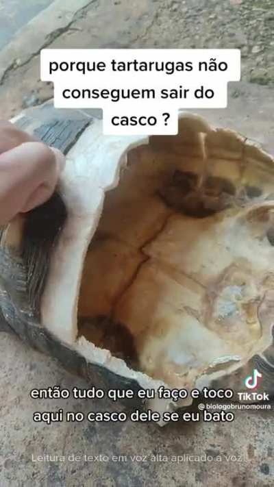 Interessante