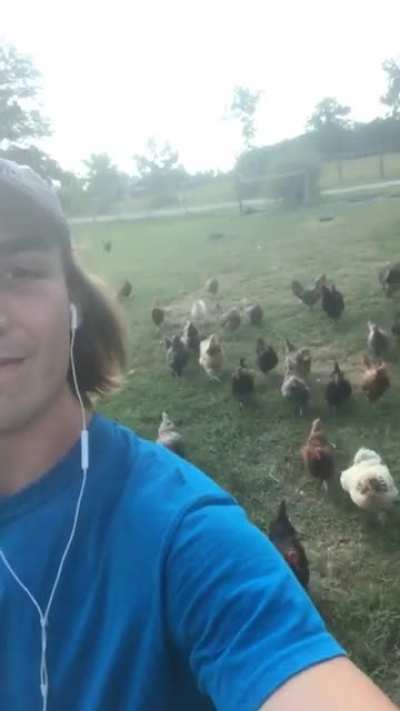 That goose scream