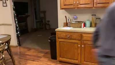Our corgi Hiccup loves to play &ldquo;hide-n-seek&rdquo; with my husband around the house. He doesn&rsquo;t like losing traction on the hardwood floors, though