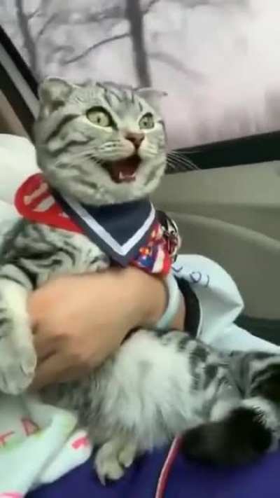 He's so joyful!