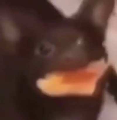 &Auml;h