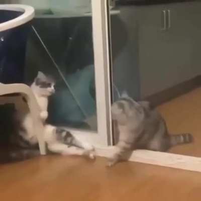 "Wait! Please have mercy!"