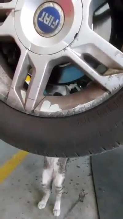A pandemia n&atilde;o ta f&aacute;cil pra ningu&eacute;m
