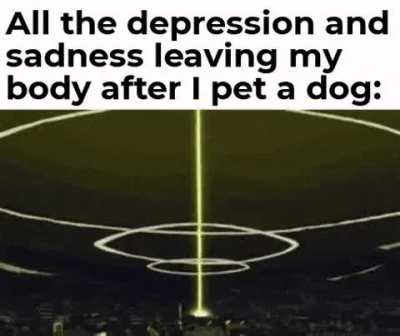 Pets are awesome