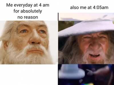 would you like a lil blow, Frodo?