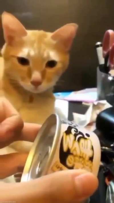 Are you this hungry