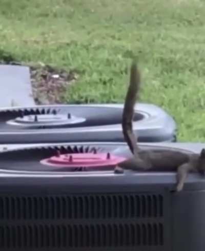 Wait for it