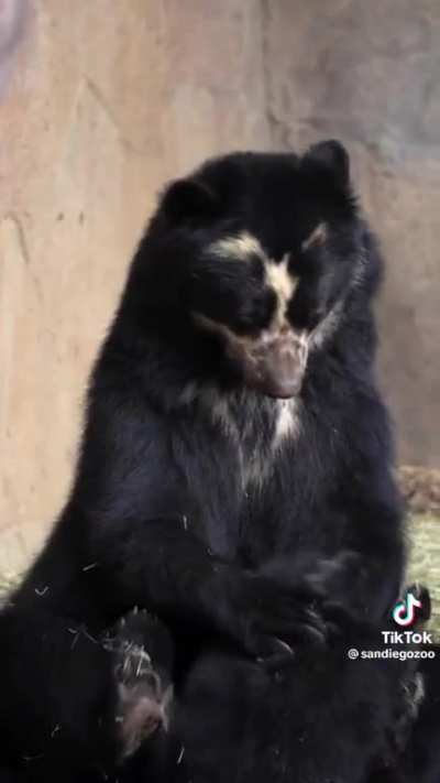 A bear hug