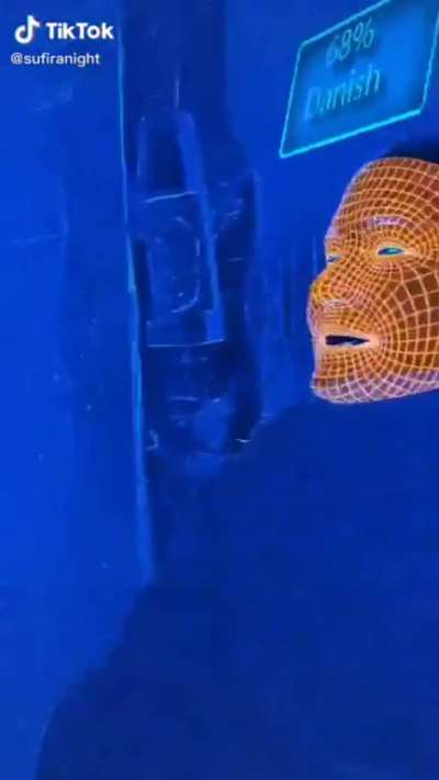Part Blobfish
