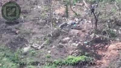 Single Ukrainian Soldiers Destroys Several Russian Invaders
