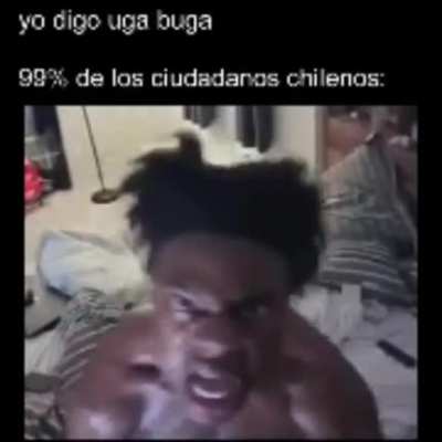 T&iacute;pico Chileno 🦍
