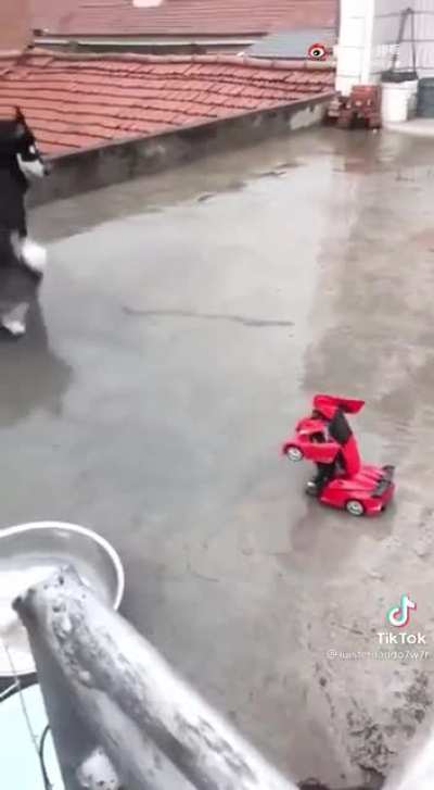 Auto truco