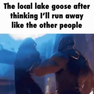 rule