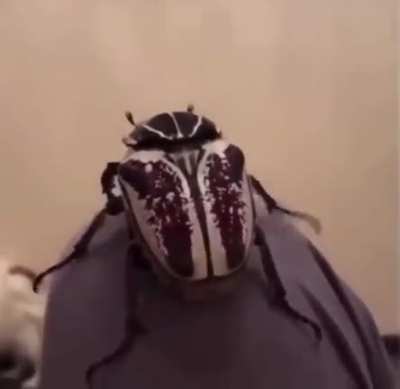 Неожиданно