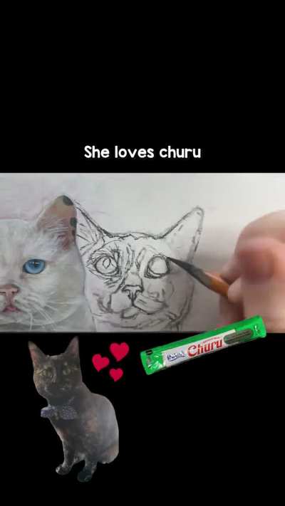 the 4th cat I added to The Sillies! :3