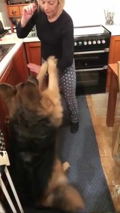 Who says you can't teach an old dog new tricks?