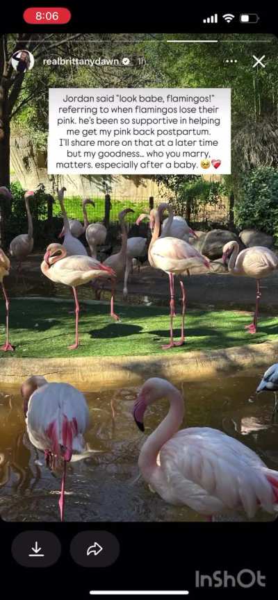 Content 1/3/26- family trip to the zoo, baby representing the brands, of course she only took a pic of the flamingos and tied it back to herself, M outfit details, fishing for interest in a half assed SLF Galentine&rsquo;s event