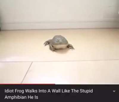 Idiot Frog