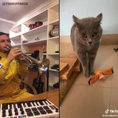 Cat's Got Talent 🎺 🐈&zwj;⬛