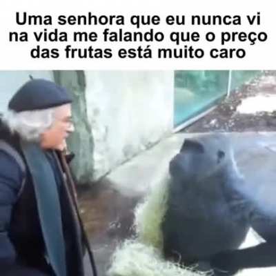 eu_nvr - Video #6057