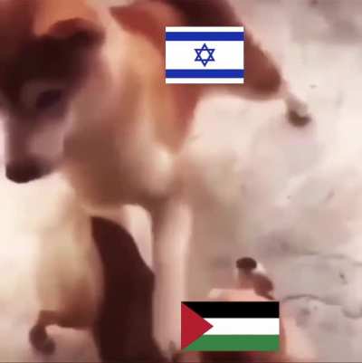 &ldquo;I am such a victim.&rdquo; - Israel