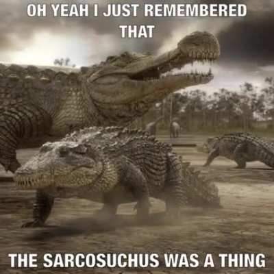 me irl