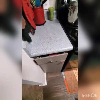 Video I made just for my wife