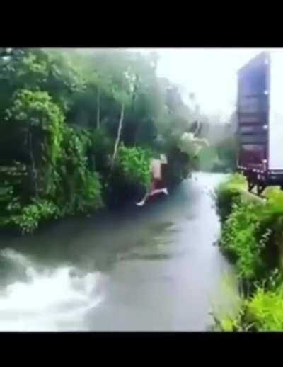 They really like to swim