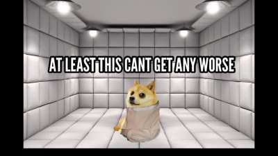 le asylum has arrived