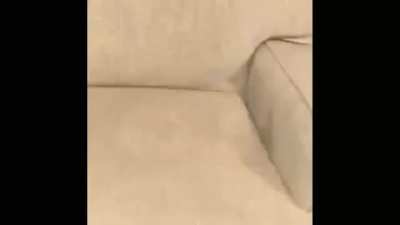 Uy