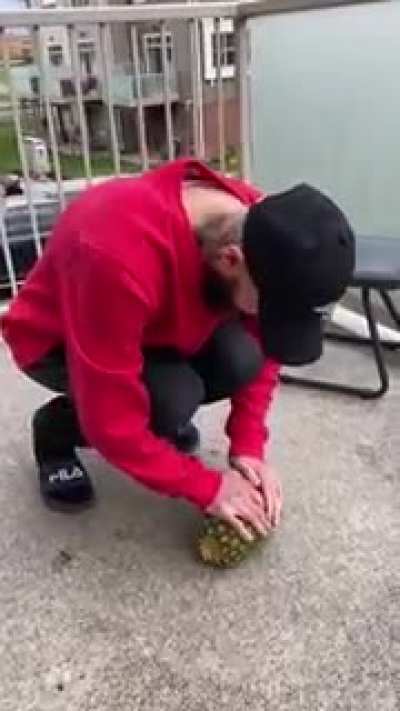 Opening up a pineapple