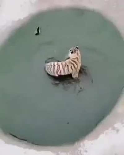 Maybe Maybe Maybe