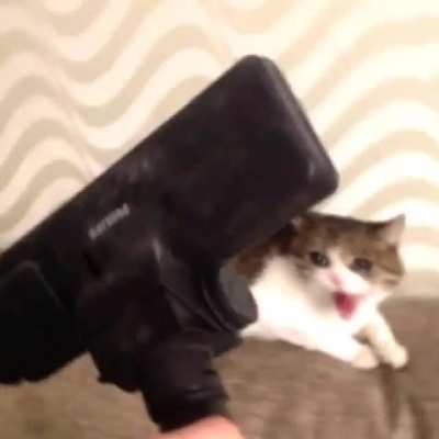 Taking a deep breath *Super depressed meow*