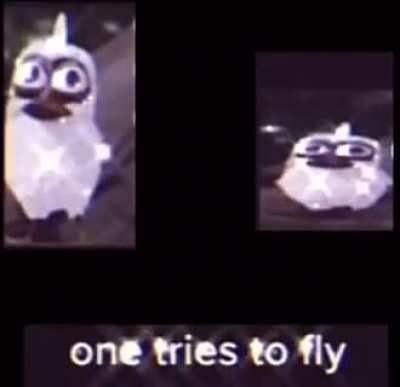 This is cursed